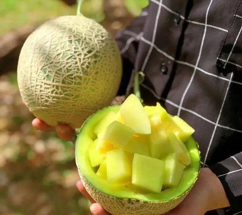 小超娱乐吃瓜,揭秘娱乐圈最新吃瓜事件  第2张